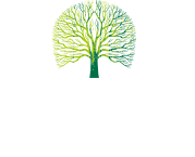 南宫NG28相信品牌的力量